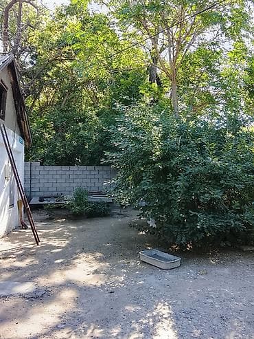 Недвижимость: Продаю дом барачного типа, три комнаты и коридор, по документам пять — 4