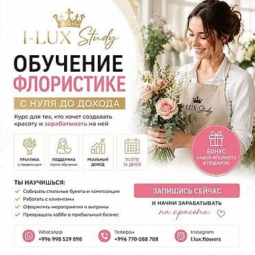 Офлайн, Онлайн, дистанционное, Индивидуальное Выдается сертификат