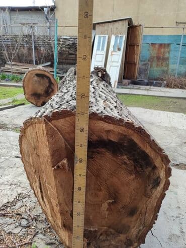 ДСП: Продаю 2 ствола ореха длина 2,40 и 210; диаметр 0,60. цена — 6
