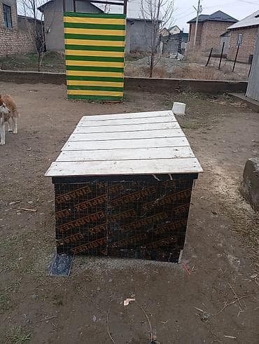 манеж для котят: Фанера, Ламинированная, Для строительства, Для опалубки — 2