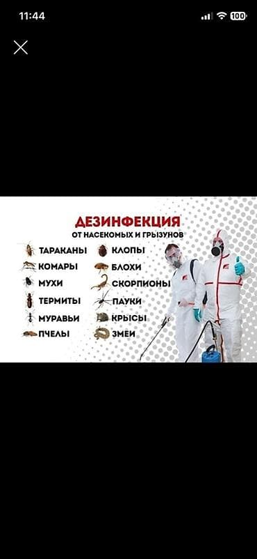 стирка белья бишкек: Дезинфекция, дезинсекция, | Муравьи, | Квартиры — 1