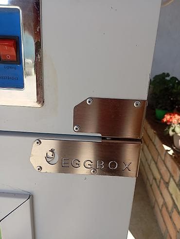 витиринный холодилник: Инкубатор EGGBOX (промышленного типа) - Модель с вертикальным шкафом — 3