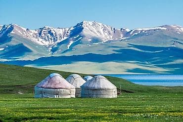 1 комната, Собственник, С подселением, С мебелью полностью