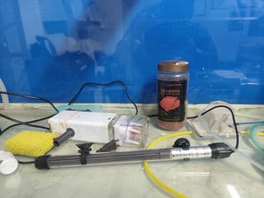 аквариум: Просторный аквариум панорамного типа с чёрной рамой. - Прямоугольная — 10