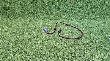 bmw 540 e34: Датчик АБС Е60 О 26 5 —-007 849 Год 2004 В отличном состоянии, очень — 1