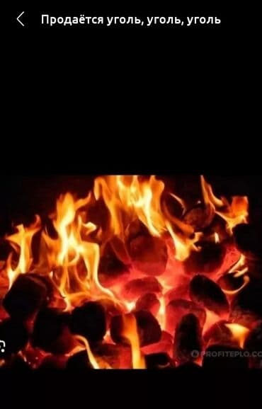 уголь казахстан павлодар: Уголь Майкуба, Платная доставка — 2