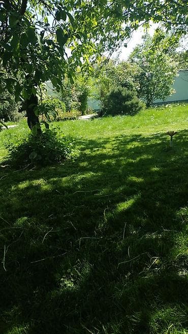 Клининг кызматтары: Аймактарды жыйнап тазалоо, Уборка двора и сада — 4