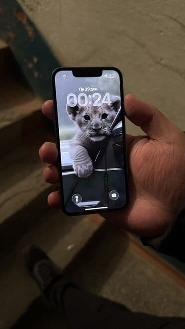 IPhone 13, Синий