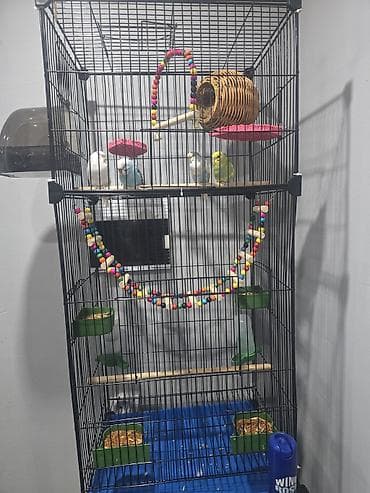 бутка домик: Большая многоуровневая клетка для волнистых попугаев и других мелких — 2