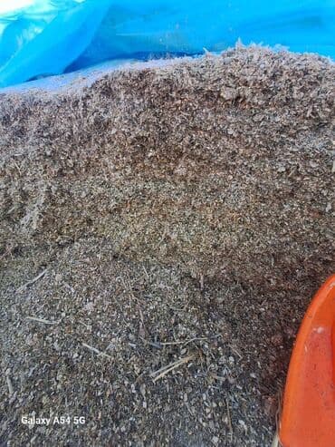 Силос мелкодробленный с кукурузой at lalafo.kg Силос мелкодробленный с кукурузой