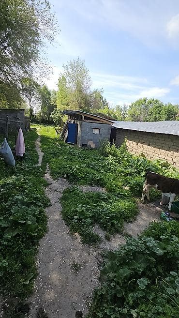 аренда домики: 8 соток, Для бизнеса, Красная книга — 8