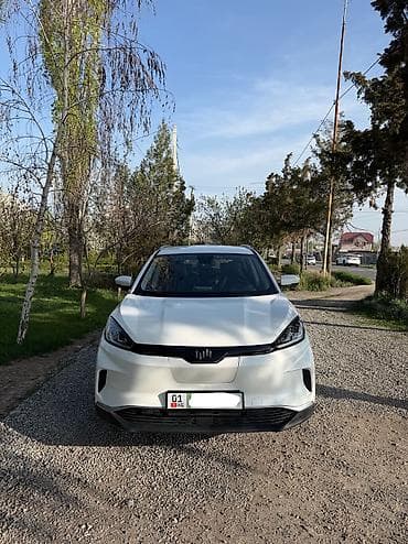 Продажа авто: Weltmeister EX5, 2021 г., 65000 км, Передний, В наличии — 2