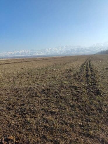 продажа земель сельскохозяйственного назначения: 1500 соток, Для сельского хозяйства, Договор долевого участия — 3