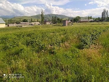бакай ата ж м: 5 соток, Кызыл китеп — 2