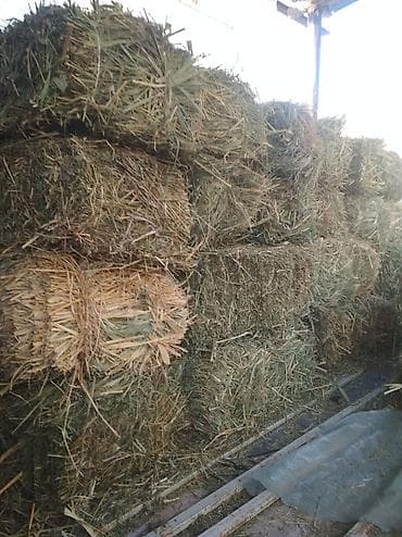 Продаю тюки с камышами по 300 сом, остались последние 16 тюков!
