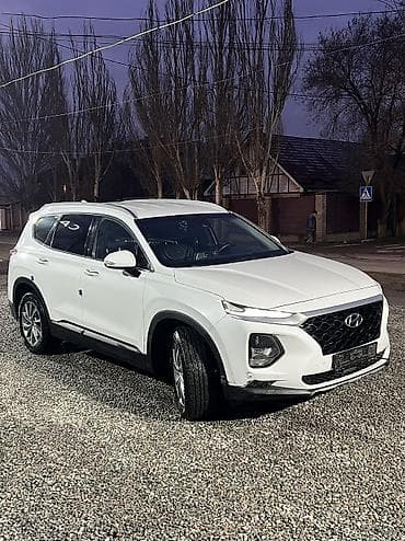 вмв 39: Hyundai Santa Fe: 2019 г., 2 л, Автомат, Дизель, Кроссовер — 3