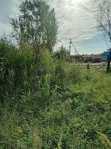 пекарь бишкек: 30 соток, Курулуш, Кызыл китеп, Белек келишими — 2