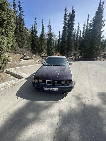 реснички е34: BMW 5 series: 1989 г., Седан — 1