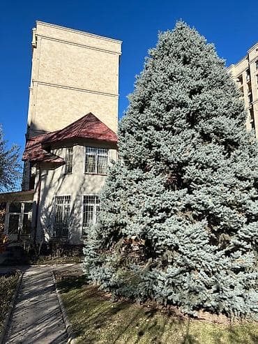 4 bedroom: 400 м², 12 комнат, Утепленный, Бронированные двери, Видеонаблюдение — 10