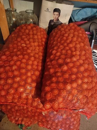 кондитерские оборудования: Грецкий орех урожая сезона - В наличии орех в скорлупе в сетчатых — 3