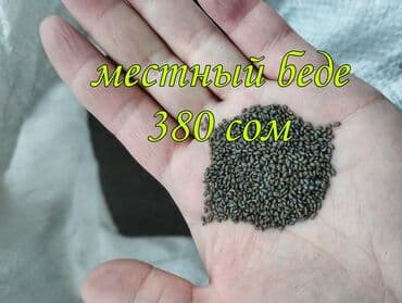 купить семена люцерна: Семена кормовых растений: Люцерна, Самовывоз — 3