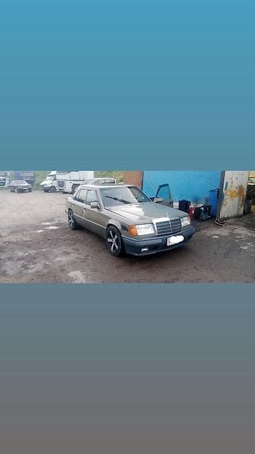 дверные карты мерседес 124: Mercedes-Benz W124: 1993 г., 3 л, Автомат, Дизель, Седан — 1