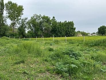 вагон нарын: Продаётся дом с хозяйственными постройками и просторным участком,база — 8