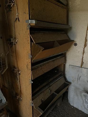 куры бролерные: Батарейные клетки для птицеводства - Многоярусные секции из — 4