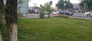 ремонт касилка: Уборка территории, Стрижка газона — 3