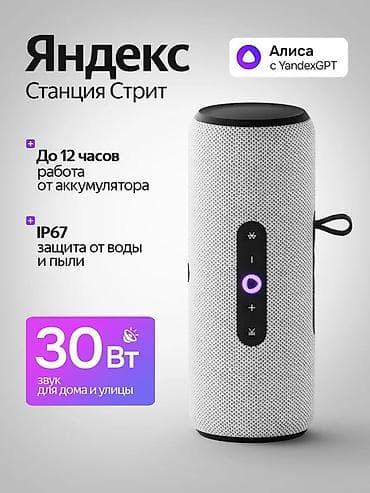 Яндекс Станция Стрит — умная портативная колонка с голосовым