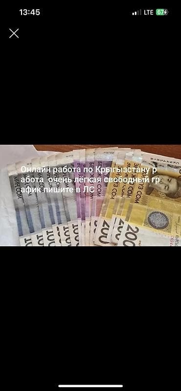 удаленный: Онлайн-работа по Кыргызстану - Формат: полностью удаленно - График — 1