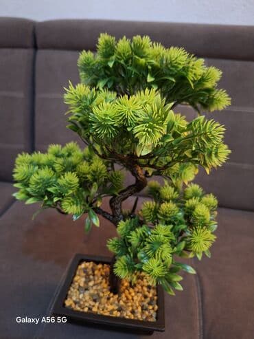 кресла офисные бу: Продаю красивые декоративные (искусственные) цветы. Красота всегда — 10