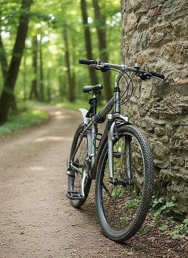 65 style: Велосипед жакшы тормоз скорость иштейт ремонт кылыш керек педалды — 2