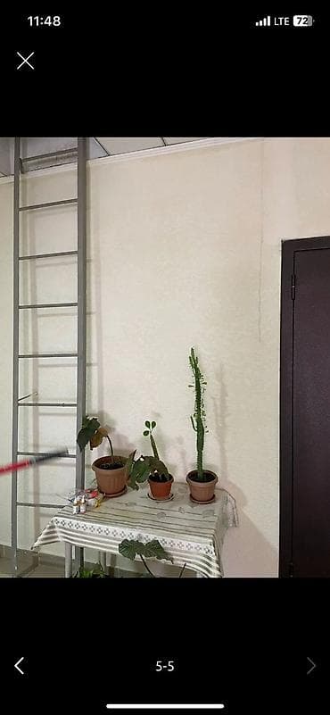 Поклейка обоев: БУДЕМ КРАСИТЬ СТЕНЫ КЛЕЕМ ОБОИ!!! — 4