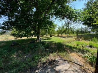 бишкек продаю дом село нижний алаарча: 37 соток, Курулуш, Белек келишими, Кызыл китеп — 2