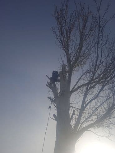 лазерная эпиляция цены: Терек биик коркунучту кыявыс Бекер кыип кетевис Бишкек чуй областях — 2