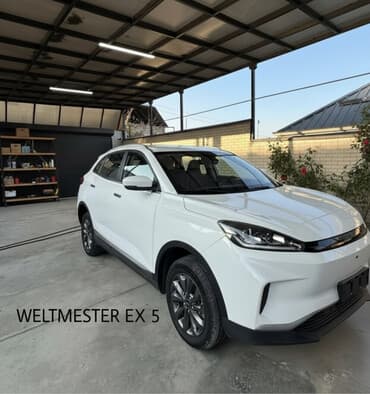 перфорированные тормозные диски: Weltmeister EX5, 2020 г., Алдыңкы — 1