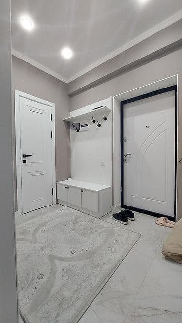 Кыймылсыз мүлк: 1 бөлмө, 42 м², Элитка, 7 кабат, Евроремонт — 7