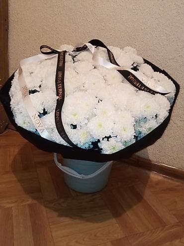 сейф цена бишкек: 3000сом — 1