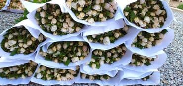 диваны турецкой: Роза кочоттор сатылат количество не ограничено — 8