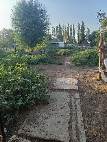 Сельскохозяйственная постройка с выгоном и участком - Капитальный