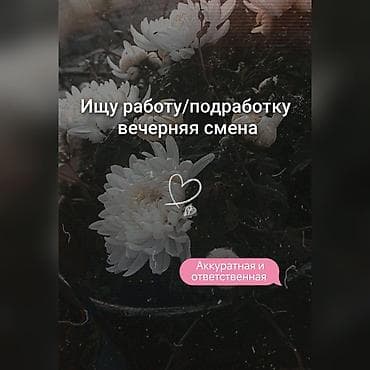 Подработка на вечер/ночь (уборка, няня, помощь по дому, ремонт) at lalafo.kg Подработка на вечер/ночь (уборка, няня, помощь по дому, ремонт)