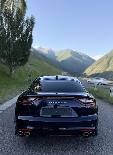 m111 2 2: Kia Stinger: 2019 г., 2 л, Автомат, Бензин, Седан — 5