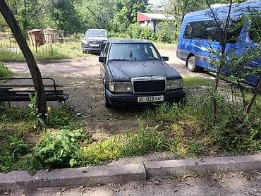 пружины 124 мерс: Mercedes-Benz W124: 1990 г., 2.3 л, Механика, Бензин, Седан — 1
