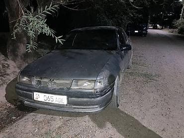 carnival 2019: Opel Vectra: 1994 г., Бензин, Седан — 2
