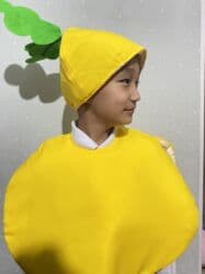 школьный фартук на прокат: Костюм яблоко, баклажан, огурец, кабачок, свекла, репка напрокат — 5