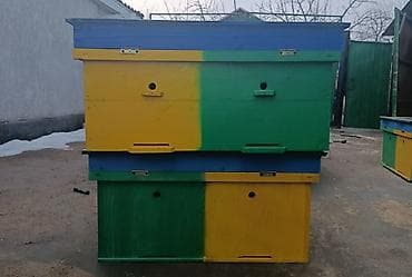 пчелка пила: Ящик — 6