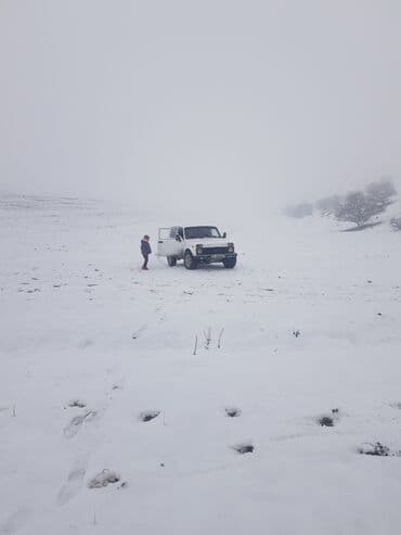 шины на ниву: ВАЗ (ЛАДА) 4x4 Нива: 2007 г., 1.7 л, Механика, Бензин — 7