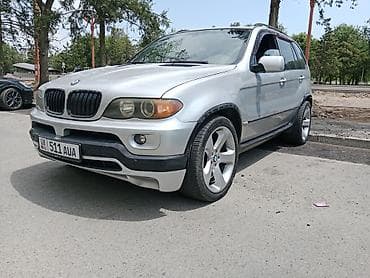 бдв кузов: BMW X5: 2004 г., Кроссовер — 2