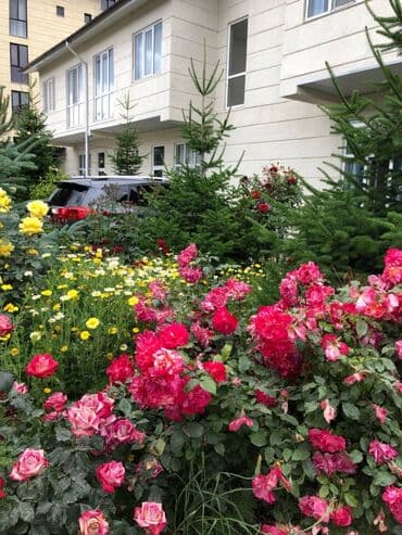 продажа дома район турбаза: Таунхаус, АКЖОЛТОЙ ЦО Кыргызское взморье, Бостери, Парковка, стоянка, Охраняемая территория, Барбекю — 1